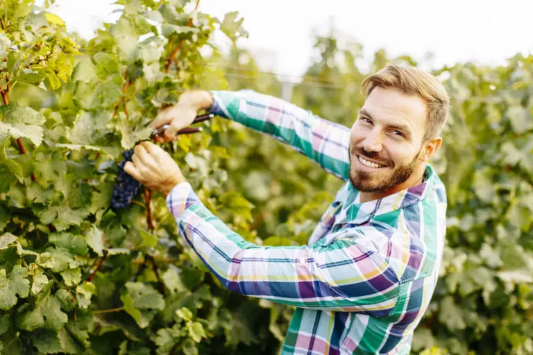 idée cadeau anniversaire pour amateur de vin