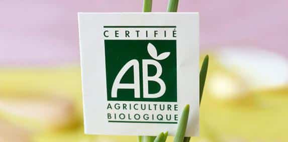 Ambition Bio 2022 Programme D Aide A La Conversion Biologique Covigneron