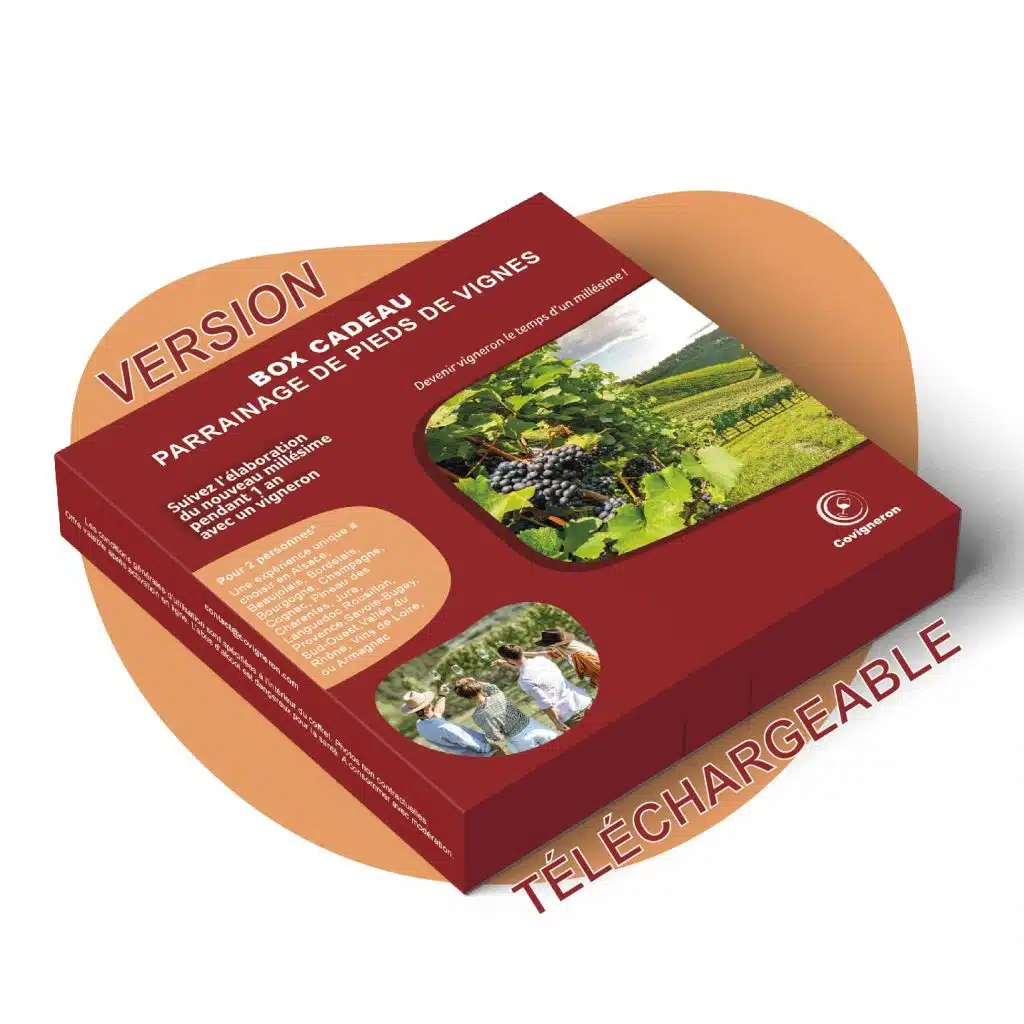 E-Box cadeau parrainage de pieds de vignes