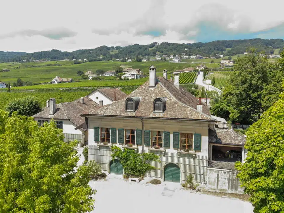 Covigneron domaine de Montbenay